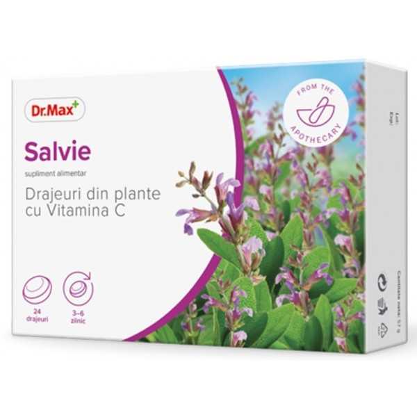 Dr.Max Drajeuri din plante cu salvie si vitamina C, 24 drajeuri