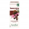 Imunorezistan Forte, 50ml, Plant Extrakt