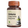 Ginkana Ginkgo biloba 80mg forte, 30 comprimate, Alevia