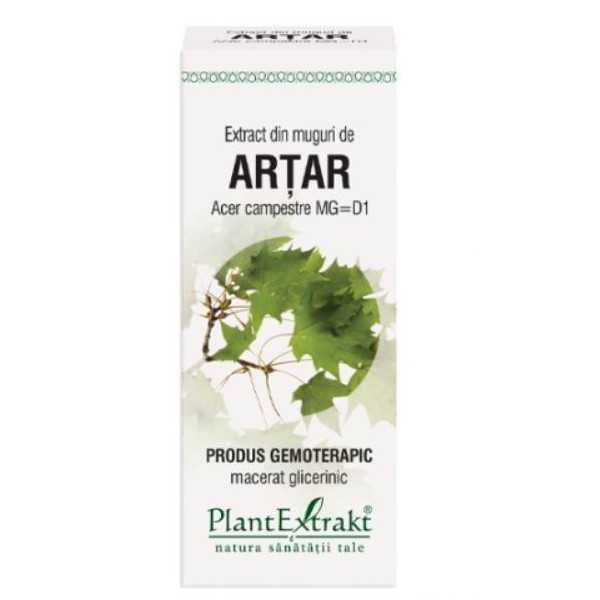 Extract din muguri de artar, 50ml, Plantextrakt