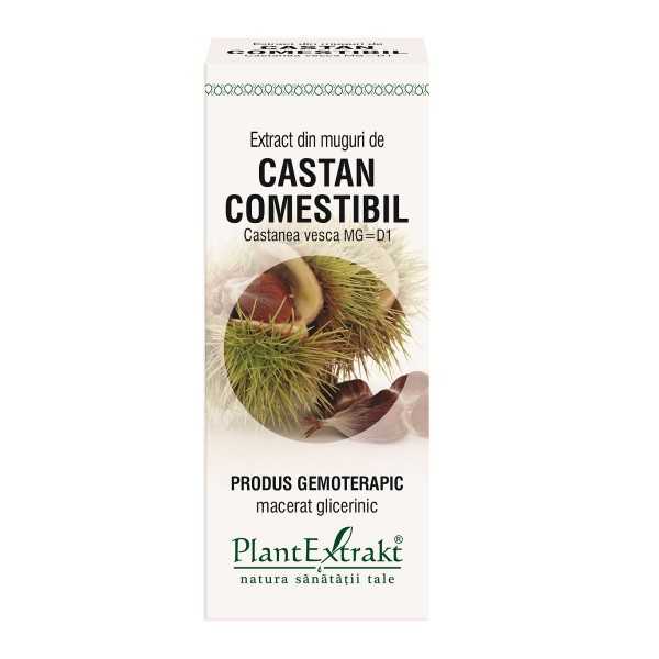 Extract din muguri de castan comestibil, 50ml, Plantextrakt