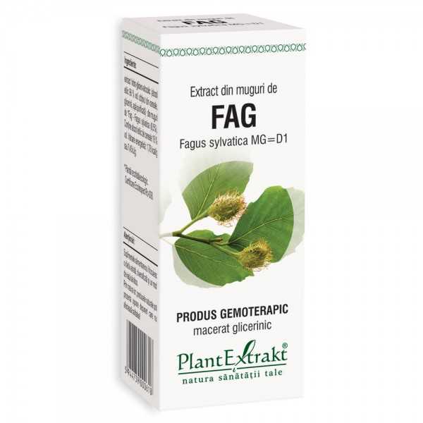 Extract din muguri de Fag, 50ml, PlantExtrakt