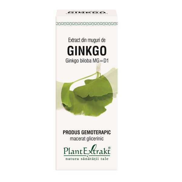 Extract din muguri de Ginkgo Biloba, 50ml, Plantextrakt