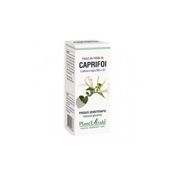 Extract din mladite de caprifoi, 50ml, Plantextrakt