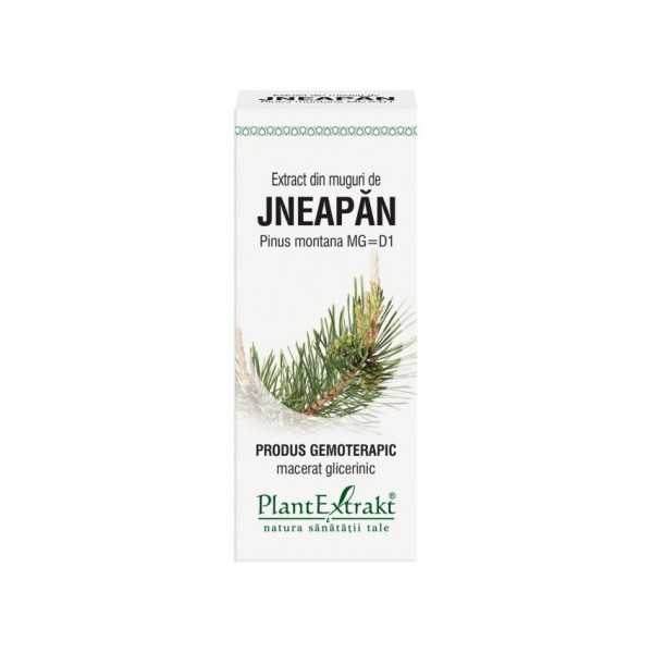 Extract din muguri de jneapan, 50ml, Plantextrakt