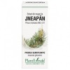 Extract din muguri de jneapan, 50ml, Plantextrakt