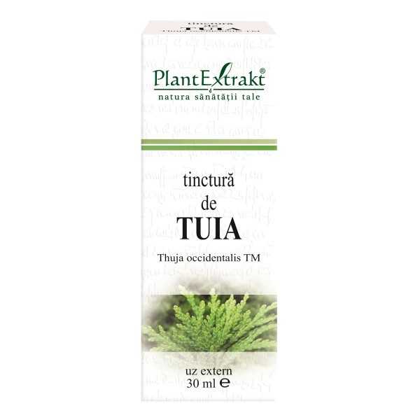 Tinctura de Tuia, 30ml, PlantExtrakt