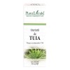 Tinctura de Tuia, 30ml, PlantExtrakt