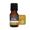 Ulei Esential Arbore de Ceai Lamaios Pur 100% Organic, 10ml, Soil