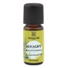 Ulei Bio Esential Eucalipt (Eukalyptus radiata), 10ml, Sonnentor