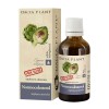 Normocolesterol tinctura fara alcool, 50ml, Dacia Plant