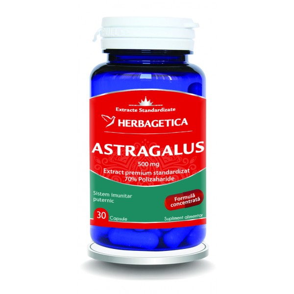 Astragalus 500mg cu 70% Polizaharide, 30 capsule, Herbagetica