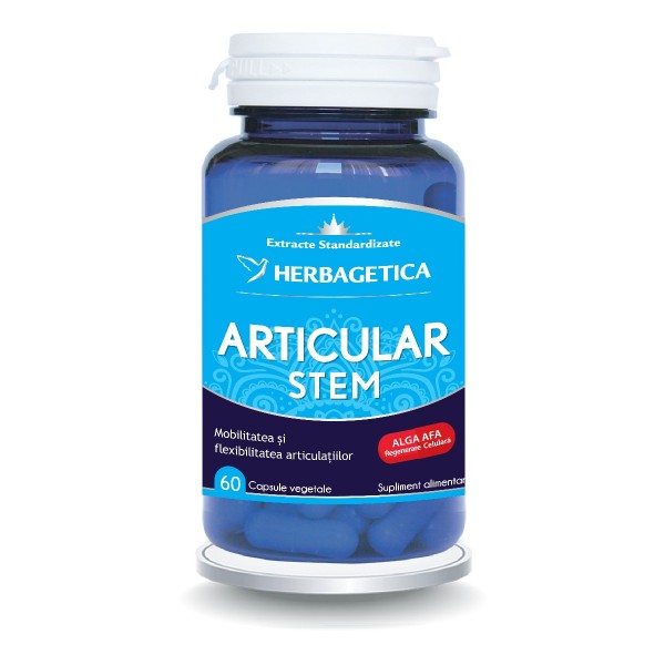 Articular+ Stem, 60 capsule, Herbagetica