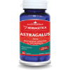 Astragalus 500mg cu 70% Polizaharide, 60 capsule, Herbagetica