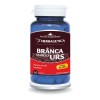 Branca Marelui Urs, 60 capsule, Herbagetica