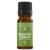 Ulei esential de eucalipt globulus, 10ml, Mayam